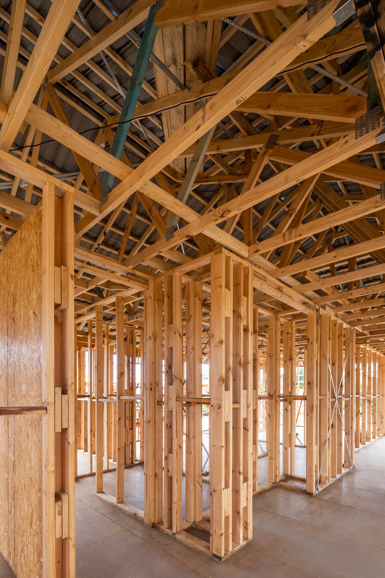 Timber roof framing on a residential build
